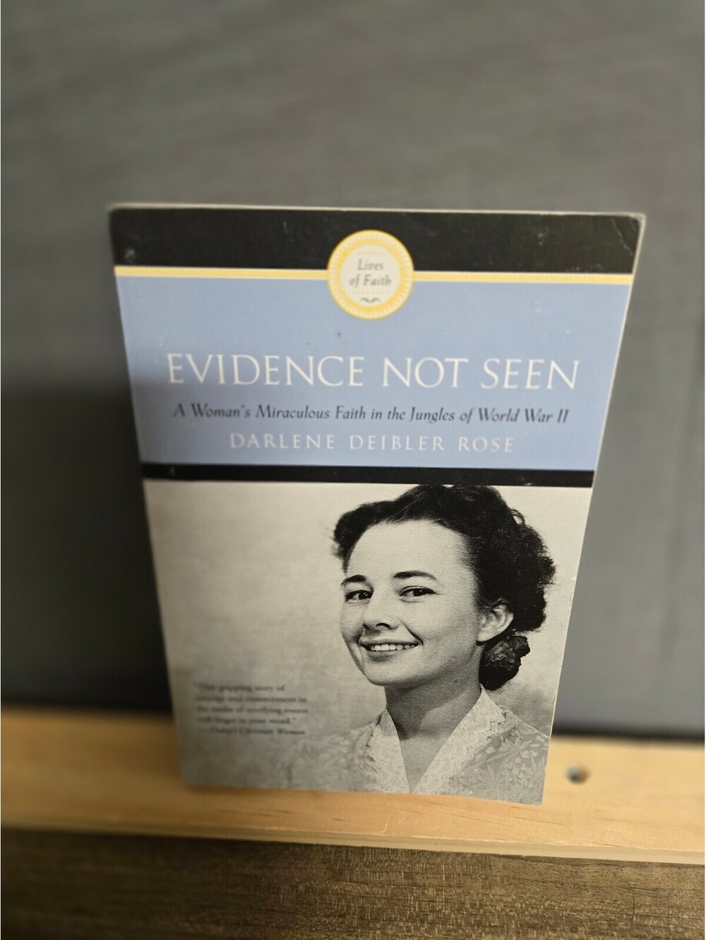 Evidence Not Seen by Darlene Rose